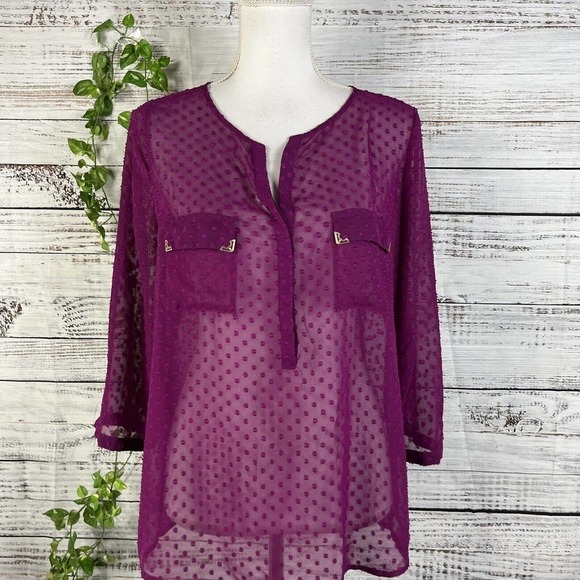 The Limited Blouse Tunic size Large Mulberry Purple Sheer Gold Pockets Lagenlook - Picture 2 of 10